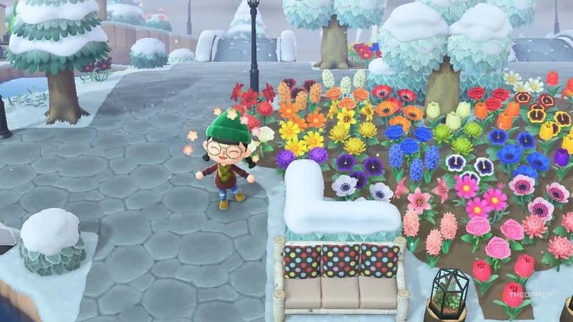 Animal Crossing New Horizons messy island layout