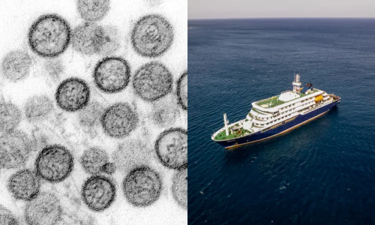 Navio de expedição MV Hondius navegando próximo à costa antártica com céu nublado
